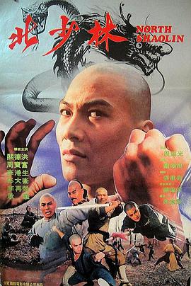 北少林免費觀看